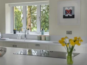 Window styles